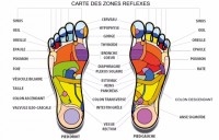 Reflexologie plantaire